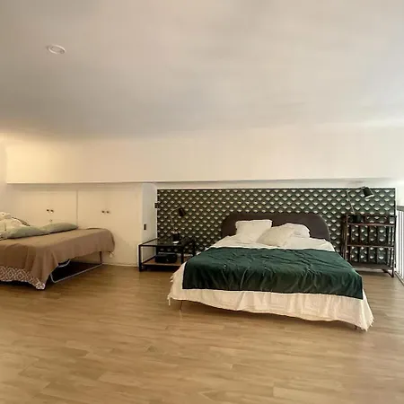 Loft Moderne Dans Le Centre De *